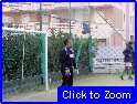 21 Biondo In Porta.JPG