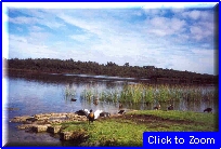 04 Perth - Laghetto.jpg