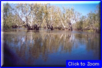 31 Darwin - Kakadu Park.jpg