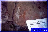 33 Kakadu Park - Dipinti Aborigeni.jpg