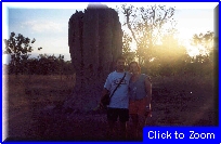 35 Kakadu Park - La Cattedrale Delle Termiti.jpg