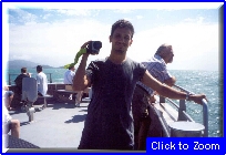 42 Cairns - Roby Su Barca Diretta Alla Barriera Corallina.jpg