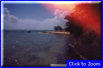 44 Green Island.jpg