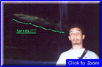 60 Sydney (Acquario) - Roby Spaventato 02.jpg