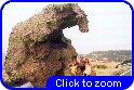 41 Gita All'Elefante.jpg