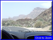 28 Vegetazione Al Teide 2.JPG