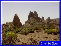 30 Vegetazione Al Teide 4.JPG